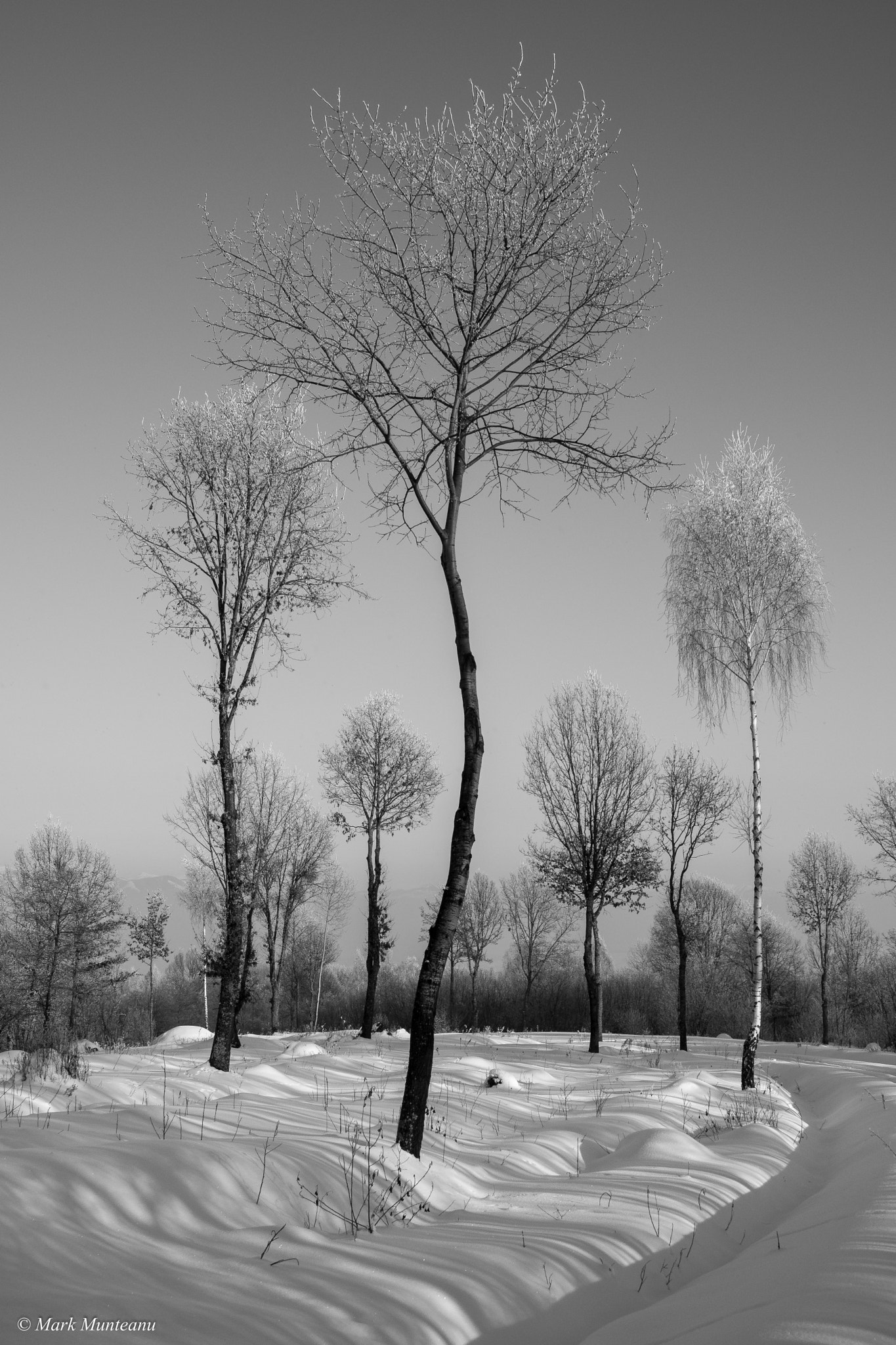 Nikon D500 sample photo. Crooked lines photography