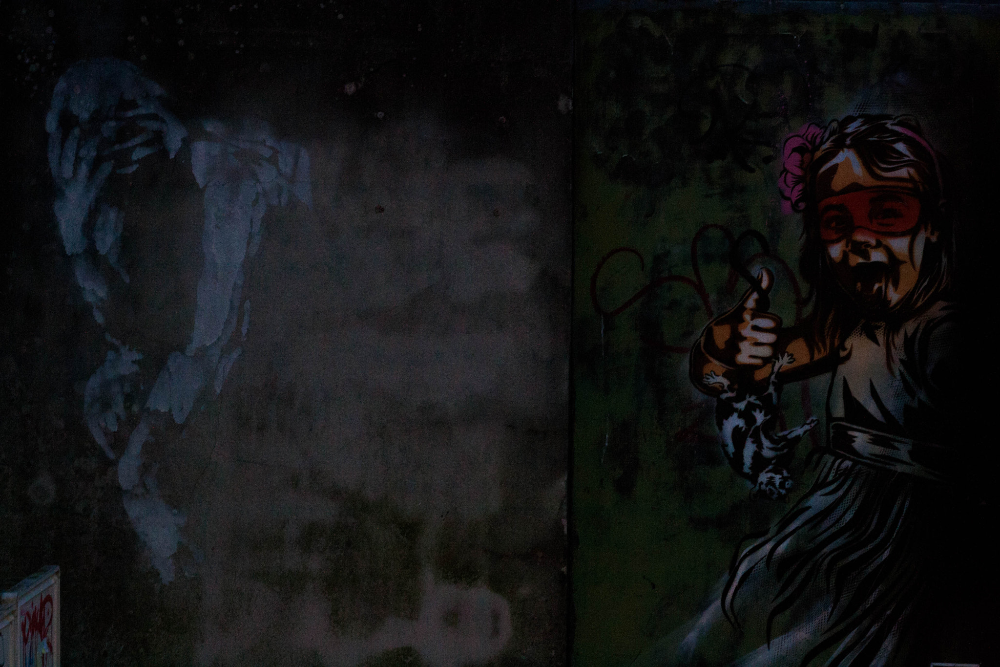Canon EOS 400D (EOS Digital Rebel XTi / EOS Kiss Digital X) sample photo. Graffiti on a wall in quimper, france photography