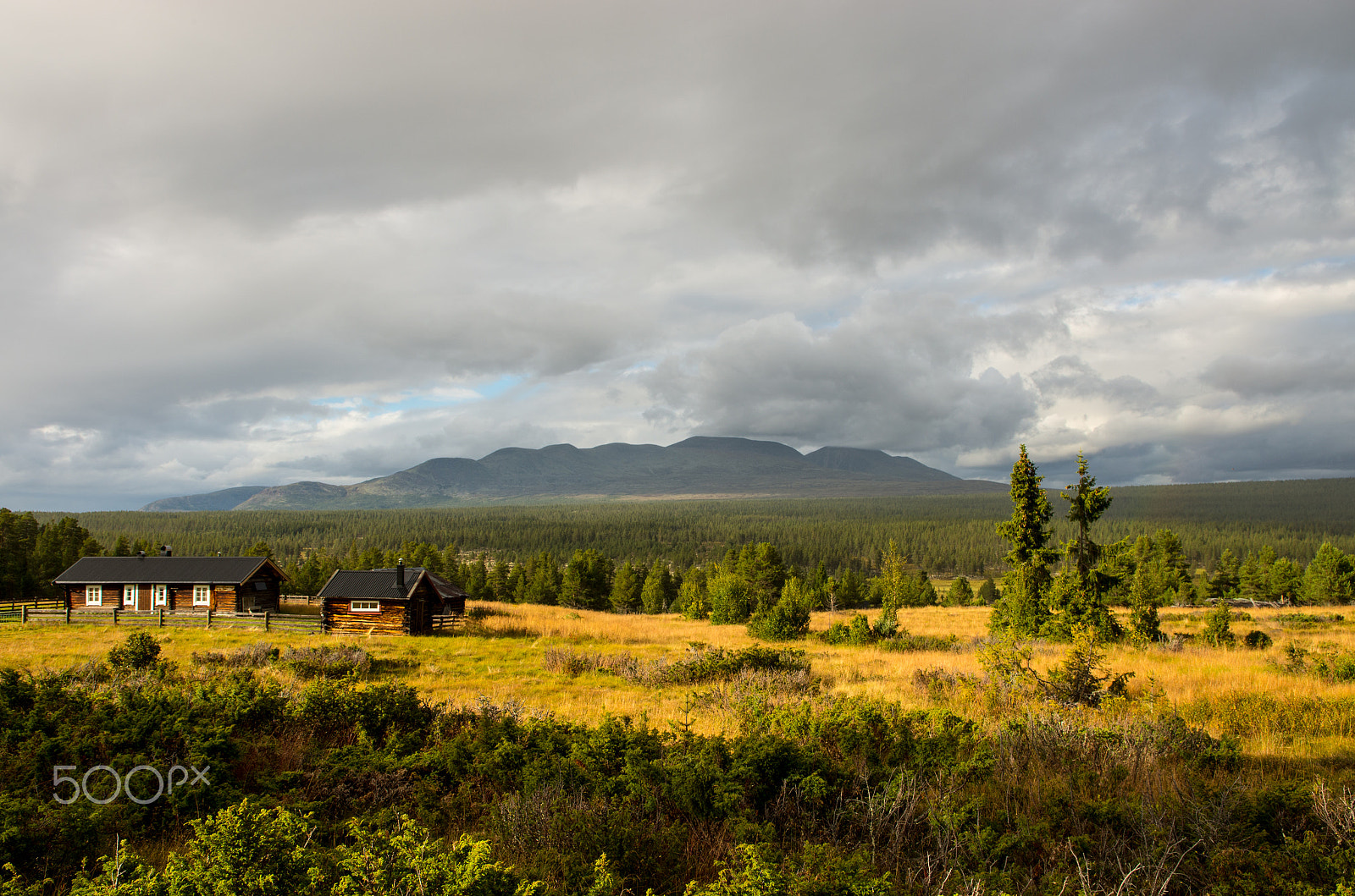 Pentax K-5 IIs sample photo. Rondane national park photography