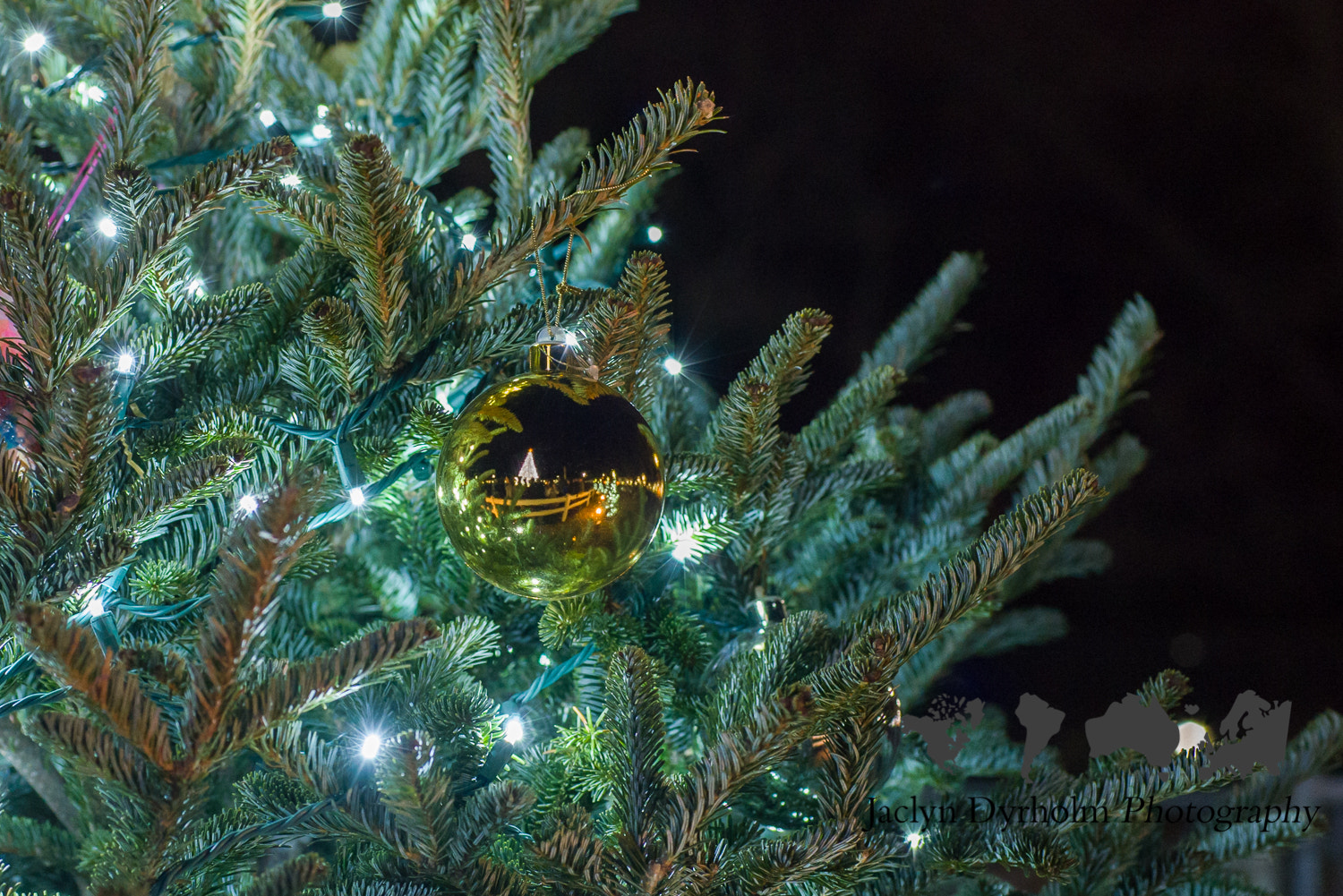 Nikon AF Micro-Nikkor 60mm F2.8D sample photo. White house christmas tree photography