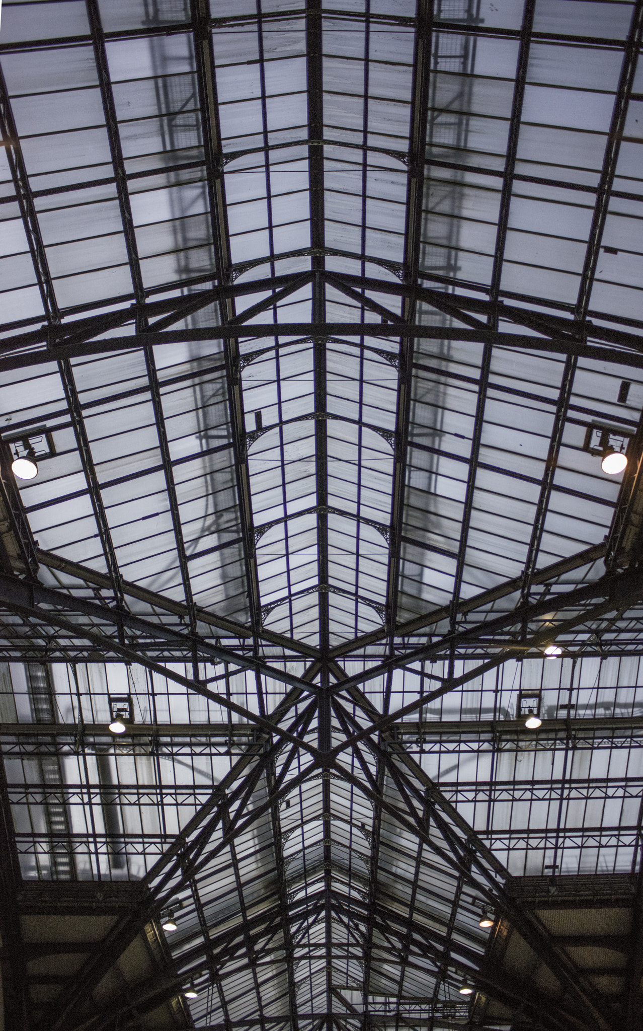 Nikon D800 sample photo. Liverpool street station roof structure photography