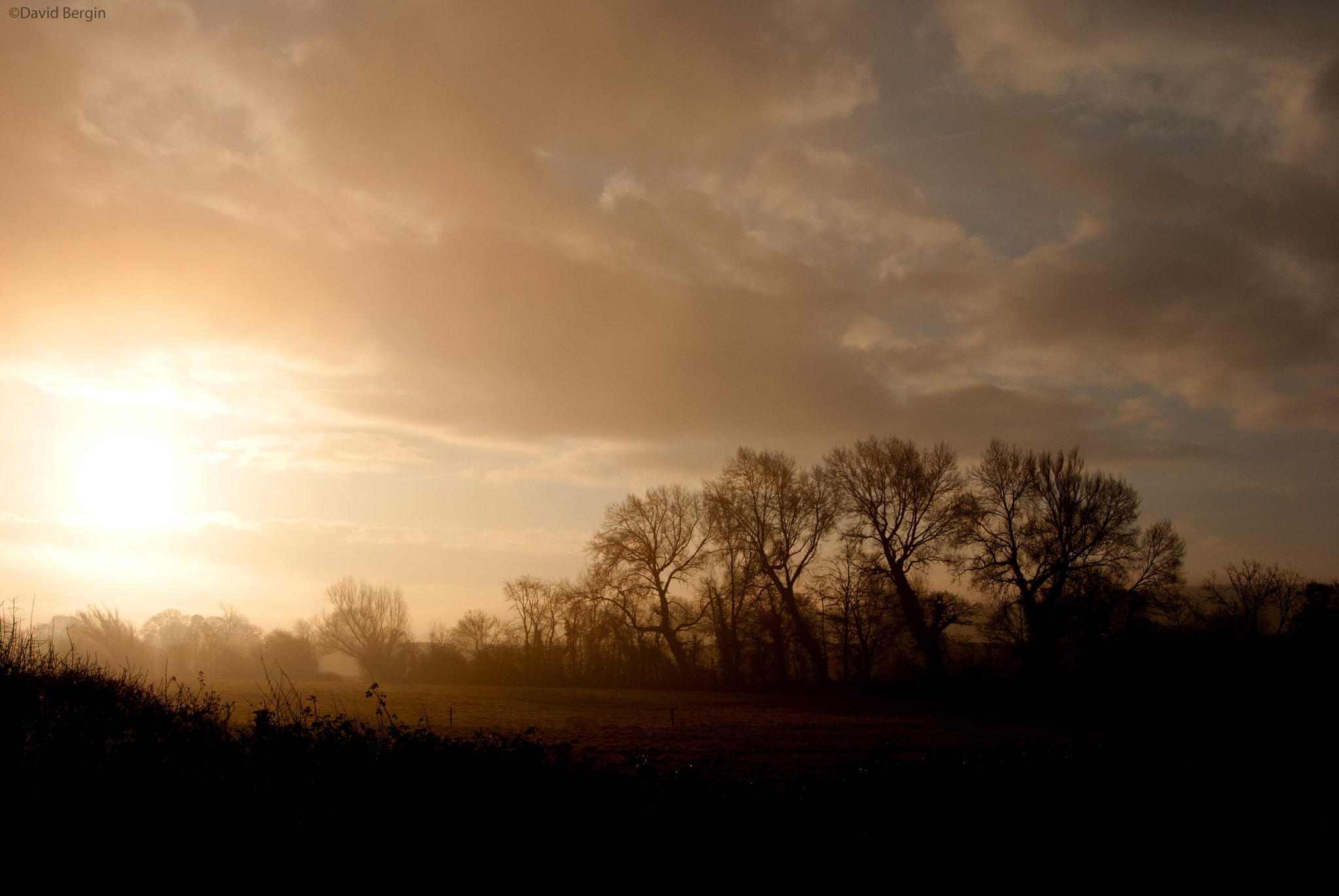 Nikon D3000 sample photo. A january morning photography