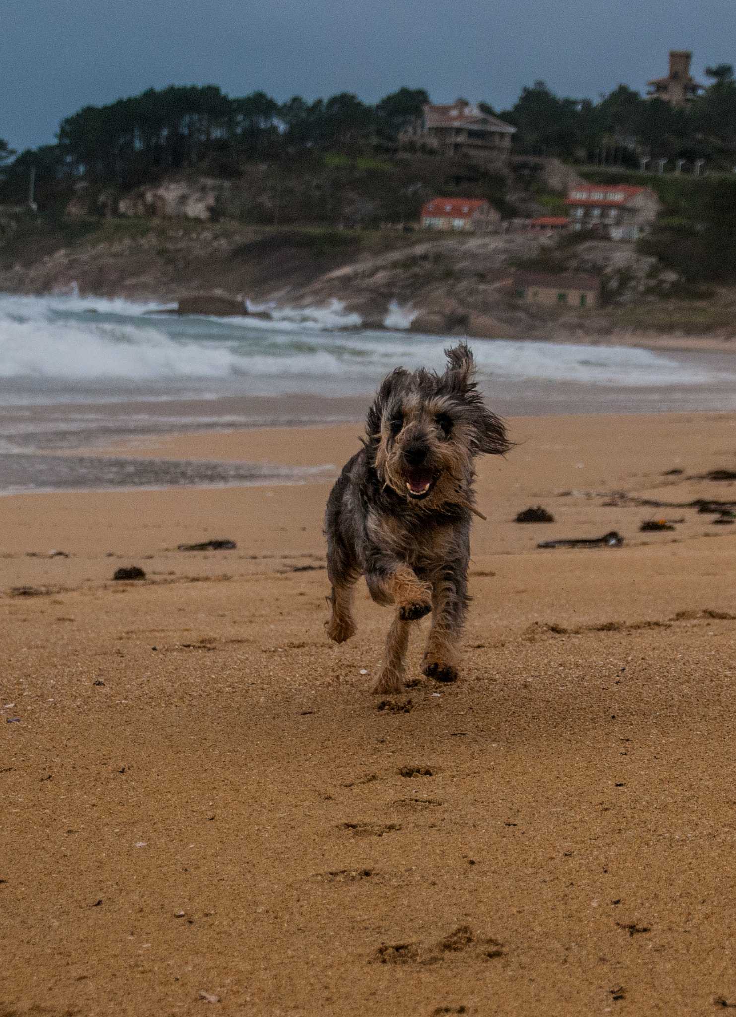 Nikon D80 sample photo. Happiness photography