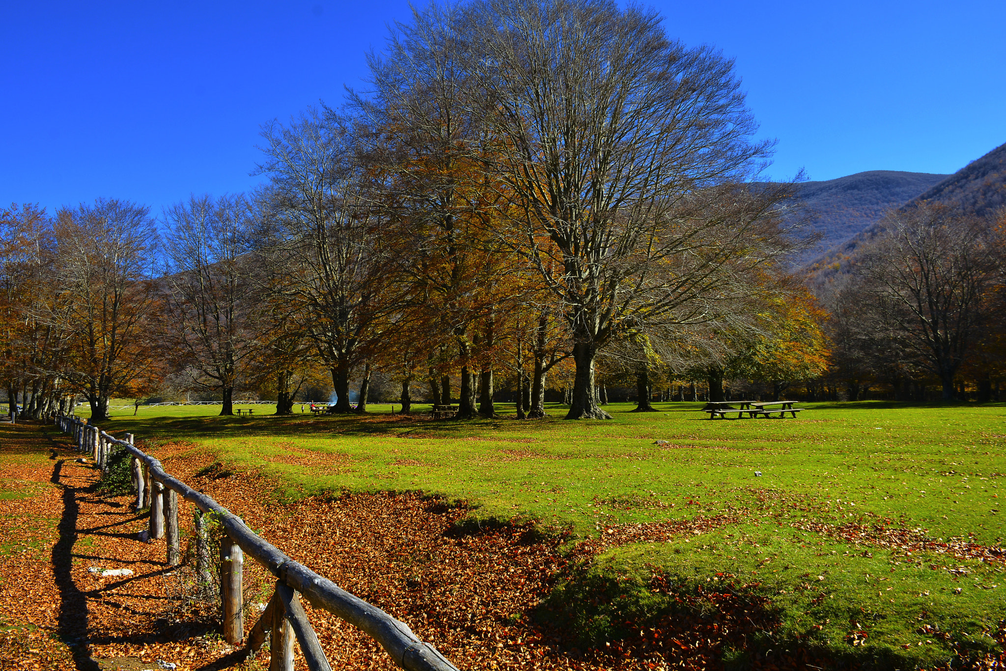 Nikon D7100 + AF Zoom-Nikkor 28-80mm f/3.5-5.6D sample photo. Prato di campoli photography