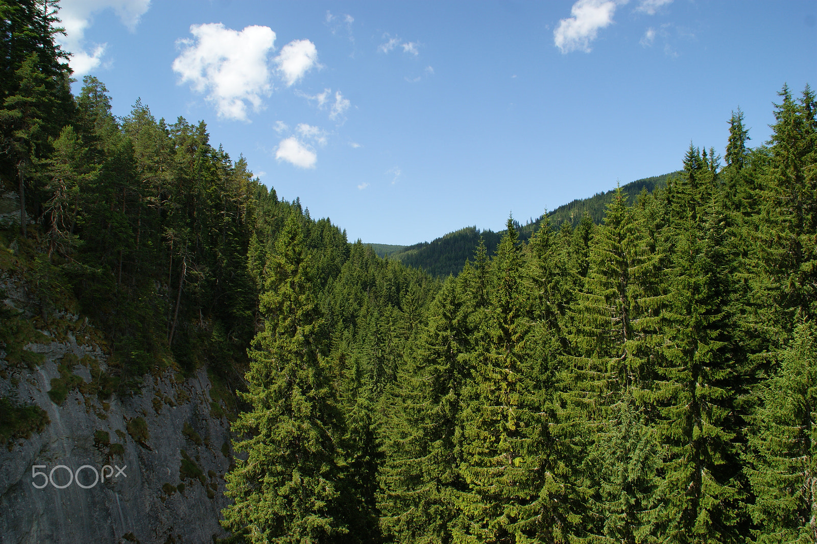 Sony DT 18-200mm F3.5-6.3 sample photo. Forest in bulgaria photography