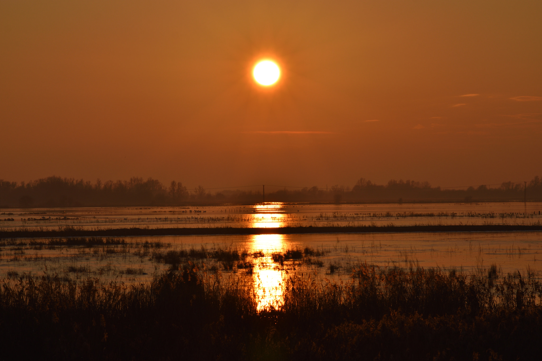 Sigma 70-300mm F4-5.6 APO DG Macro sample photo. Welney sunset photography