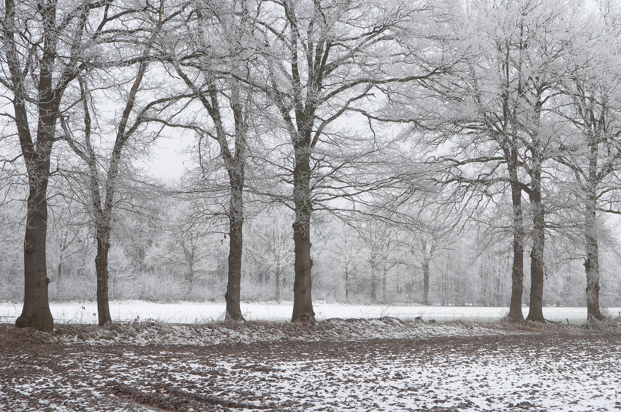 Nikon D90 sample photo. Winter scene photography