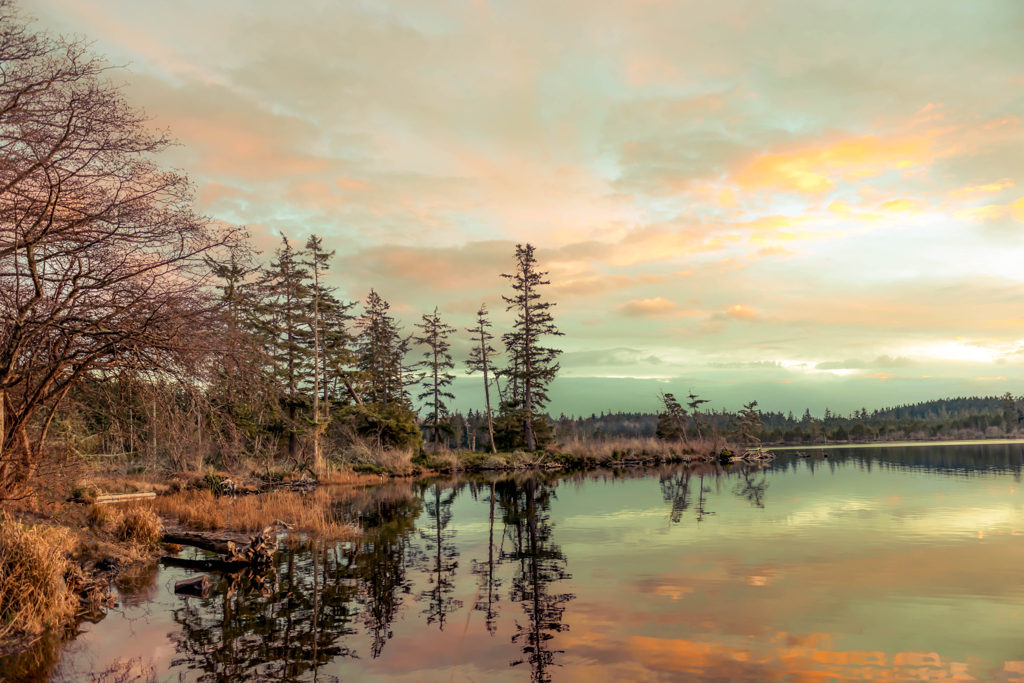 Nikon D800 + Nikon AF-S Nikkor 28-70mm F2.8 ED-IF sample photo. Point defiance wa photography