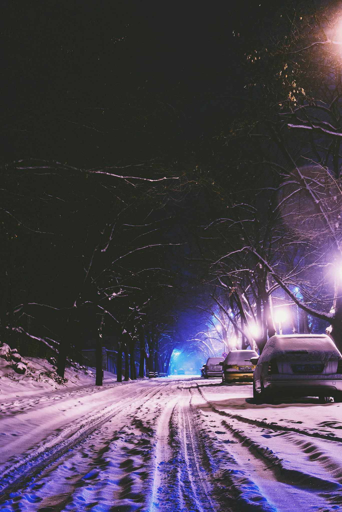 Sigma 28-300mm F3.5-6.3 DG Macro sample photo. The magic of winter photography