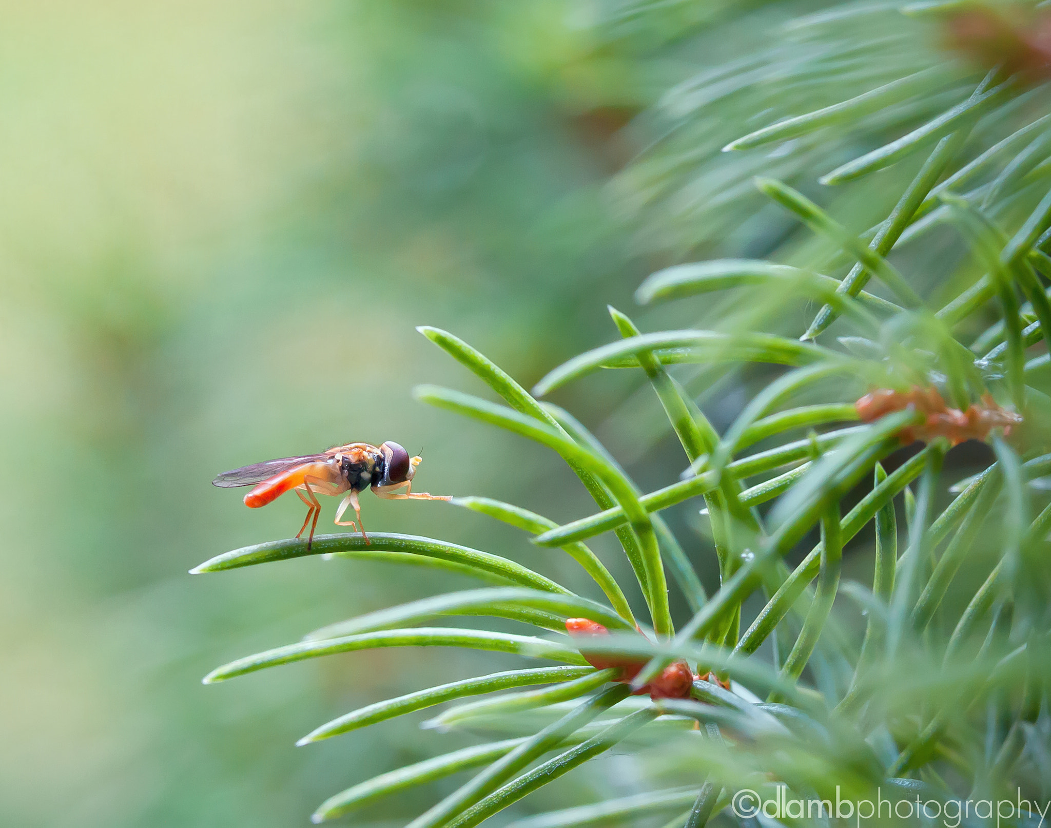Canon EF-S 60mm F2.8 Macro USM sample photo. Landing at the spires photography