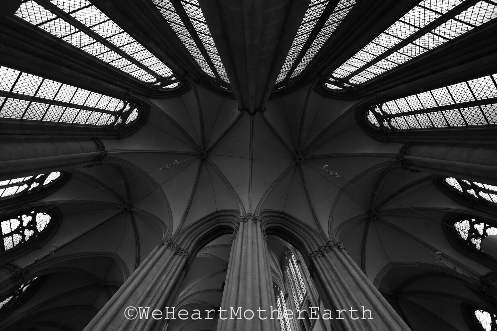 Nikon D500 sample photo. “lovers do not finally meet somewhere. they are in each other all along.” photography