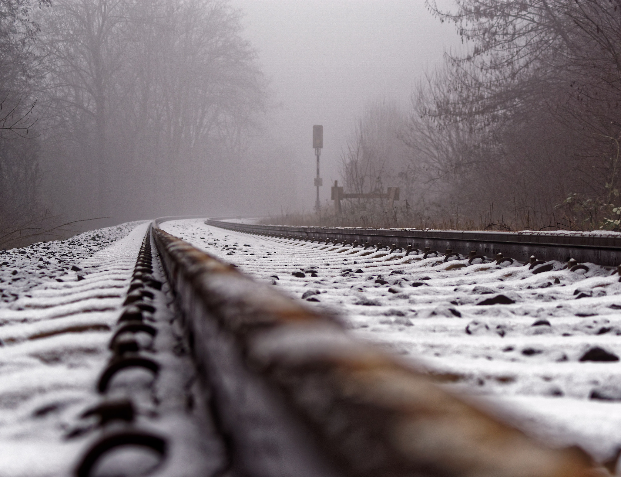 Sony DT 55-200mm F4-5.6 SAM sample photo. Journey into the fog photography