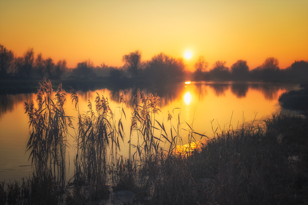 Sony a7 + E 50mm F1.4 sample photo. Late afternoon over the ouse photography