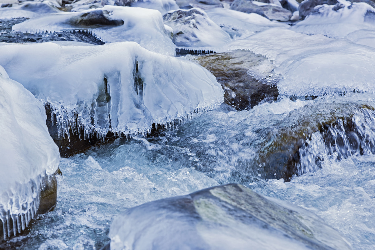 Sony a99 II + Sony Vario-Sonnar T* 24-70mm F2.8 ZA SSM II sample photo. The day after tomorrow photography