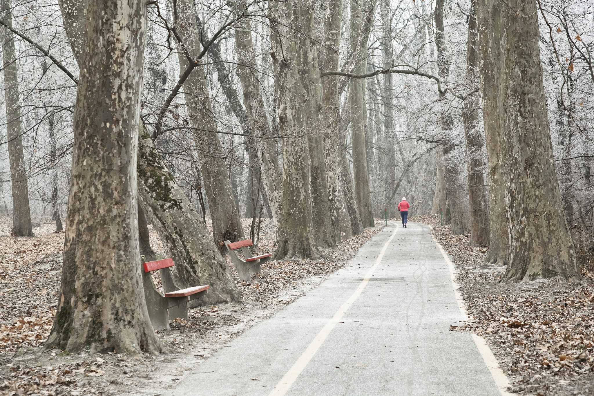 Canon EF 28-105mm f/3.5-4.5 USM sample photo. Jogging photography