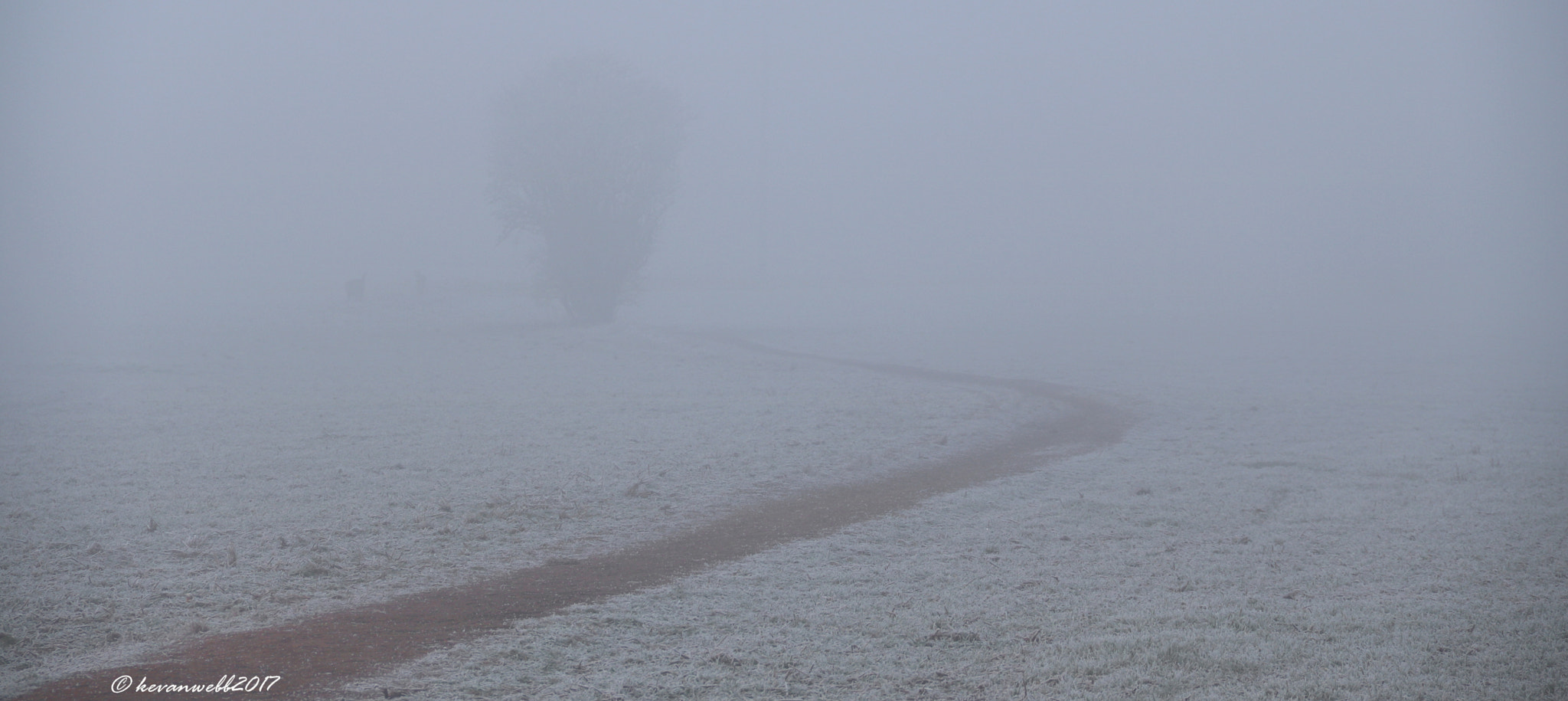Canon EOS 760D (EOS Rebel T6s / EOS 8000D) sample photo. Fog, path and tree photography