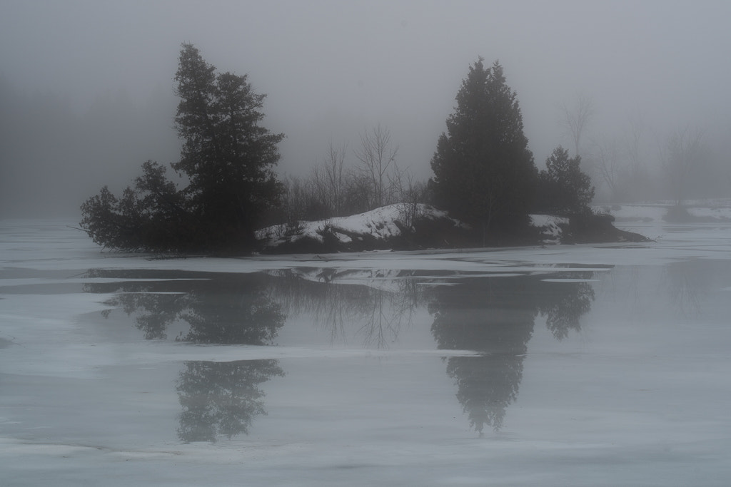 Pentax K-1 sample photo. Reflection of trees on water covered ice photography