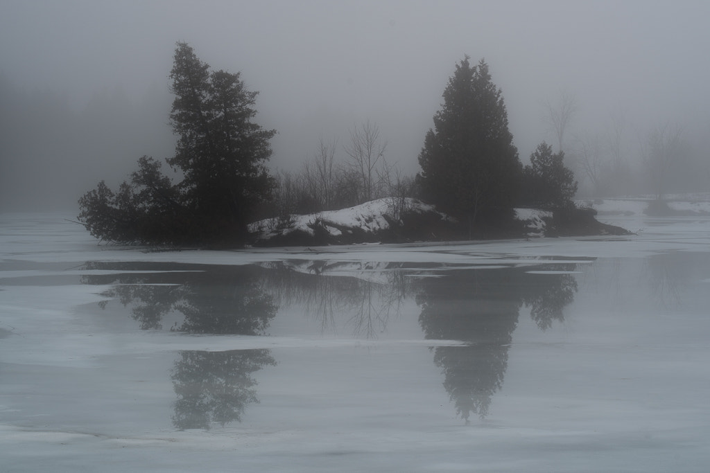 Pentax K-1 + Sigma 70-200mm F2.8 EX DG Macro HSM II sample photo. Reflection of trees on water covered ice photography