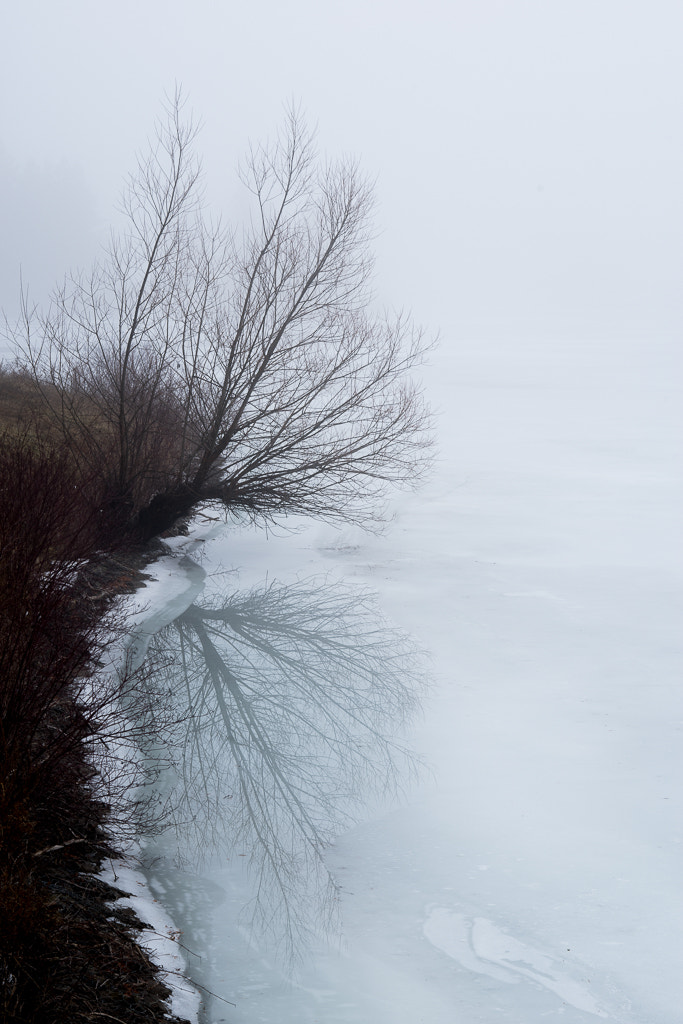 Pentax K-1 + Sigma 70-200mm F2.8 EX DG Macro HSM II sample photo. Tree reflection during heavy fog photography