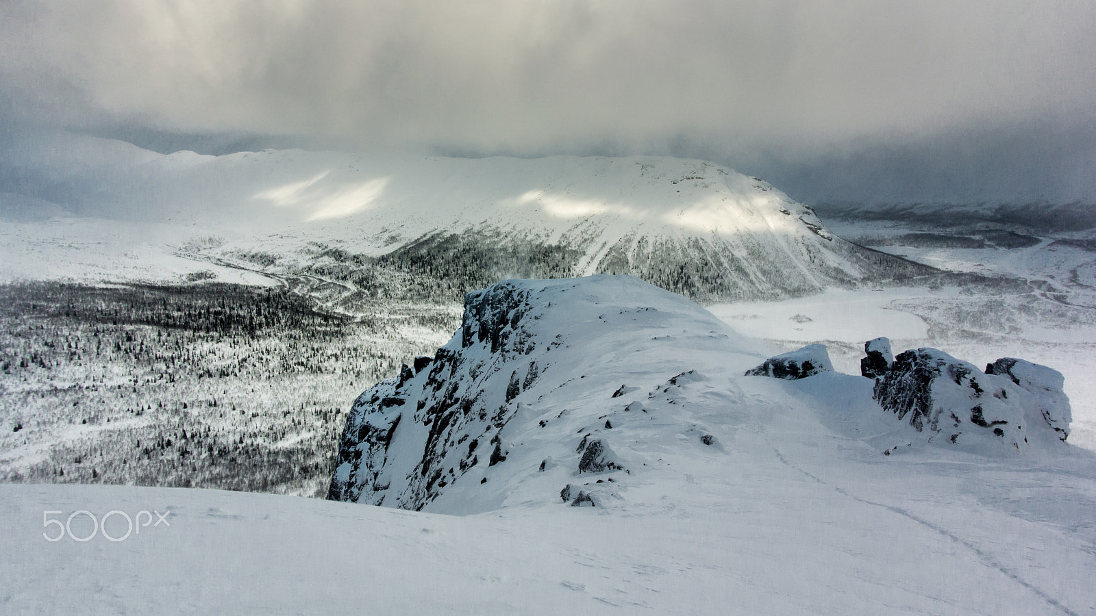 Nikon 1 Nikkor AW 11-27.5mm F3.5-5.6 sample photo. The arctic, will soon spring photography