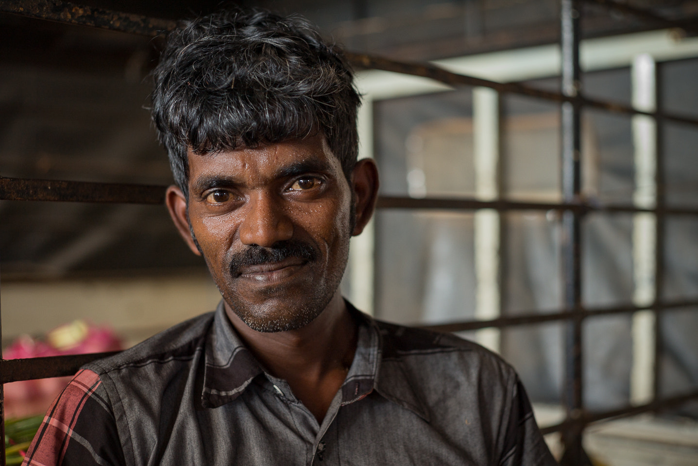 Summicron-M 1:2/50 sample photo. Farmer at dambulla market photography