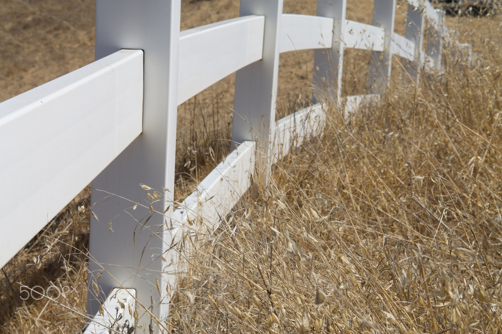 Canon EF-S 18-135mm F3.5-5.6 IS sample photo. Fence photography