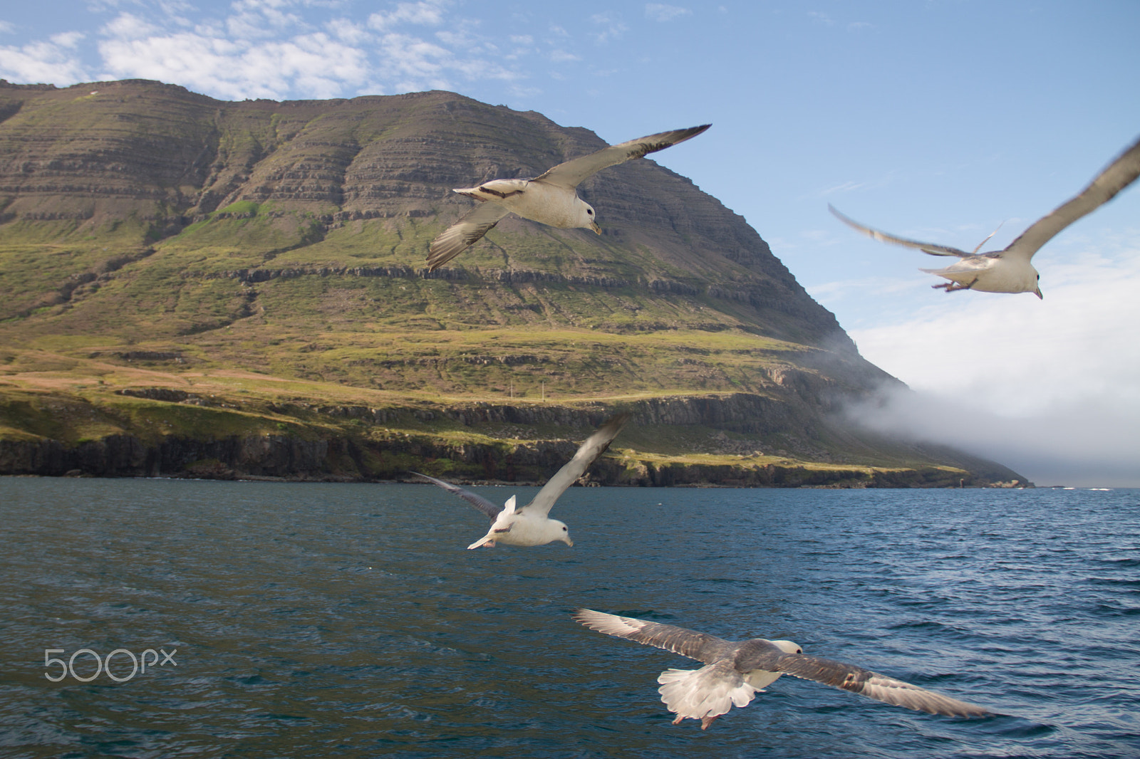 Canon EF-S 18-135mm F3.5-5.6 IS sample photo. A bird's flight around the mountain photography