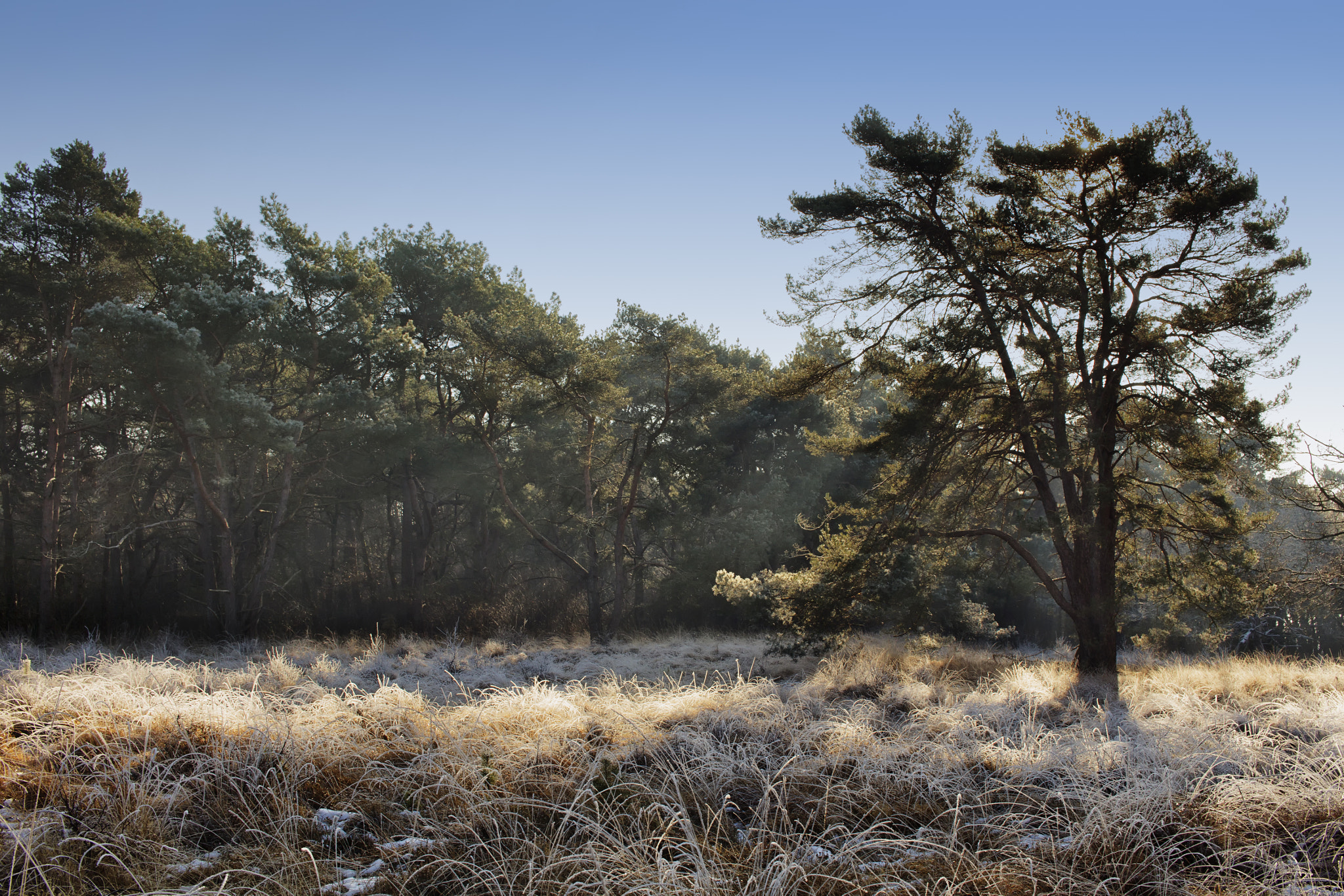 Canon EF-S 24mm F2.8 STM sample photo. Warming up photography