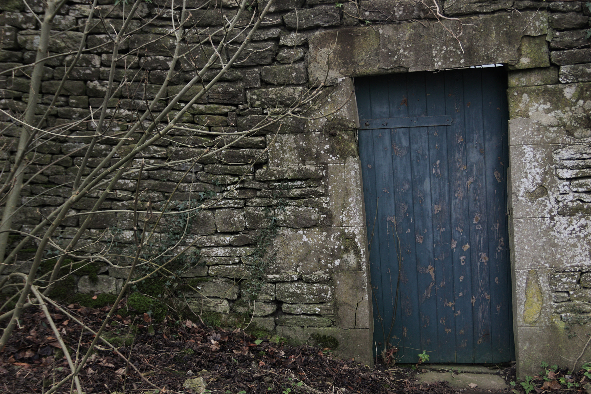 Canon EOS 700D (EOS Rebel T5i / EOS Kiss X7i) + Sigma 18-50mm f/2.8 Macro sample photo. Door. photography