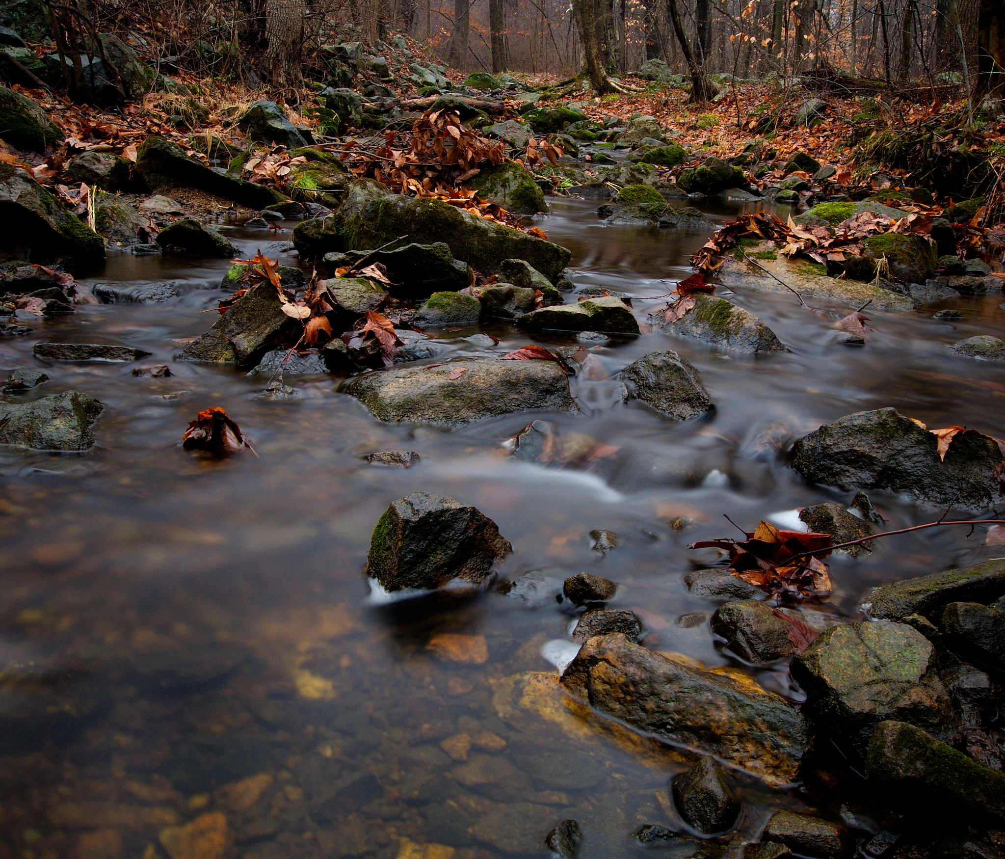 Sigma 10-20mm F3.5 EX DC HSM sample photo. Soft brook photography