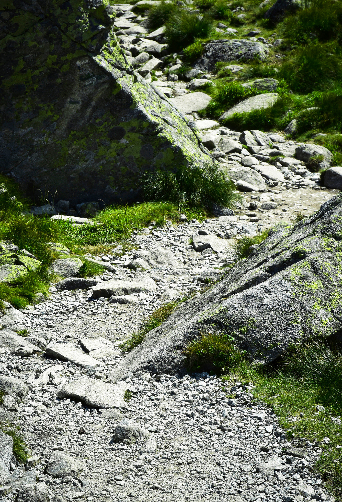Nikon D5500 sample photo. Stone walkway in the mountains photography