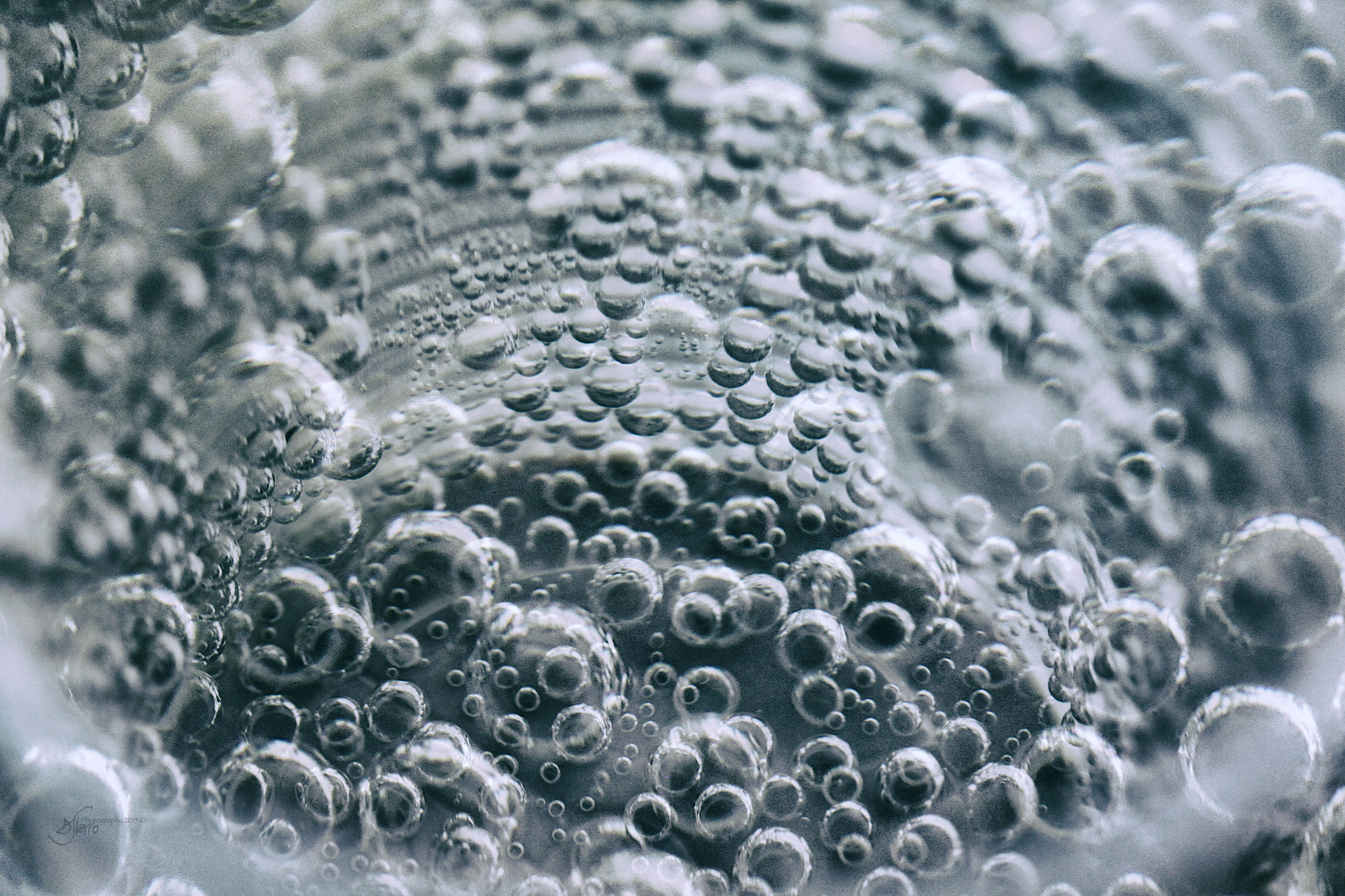 Canon EF-S 60mm F2.8 Macro USM sample photo. Into the deep photography