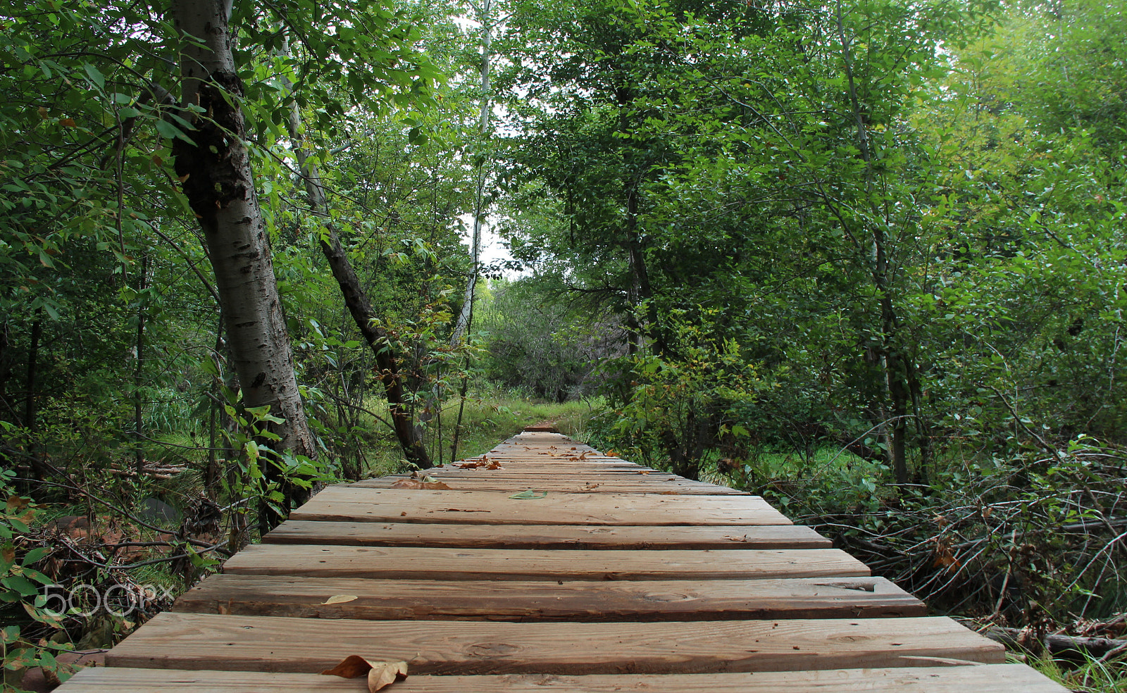 Canon EF-S 18-135mm F3.5-5.6 IS sample photo. Trail bridge in sedona, az photography