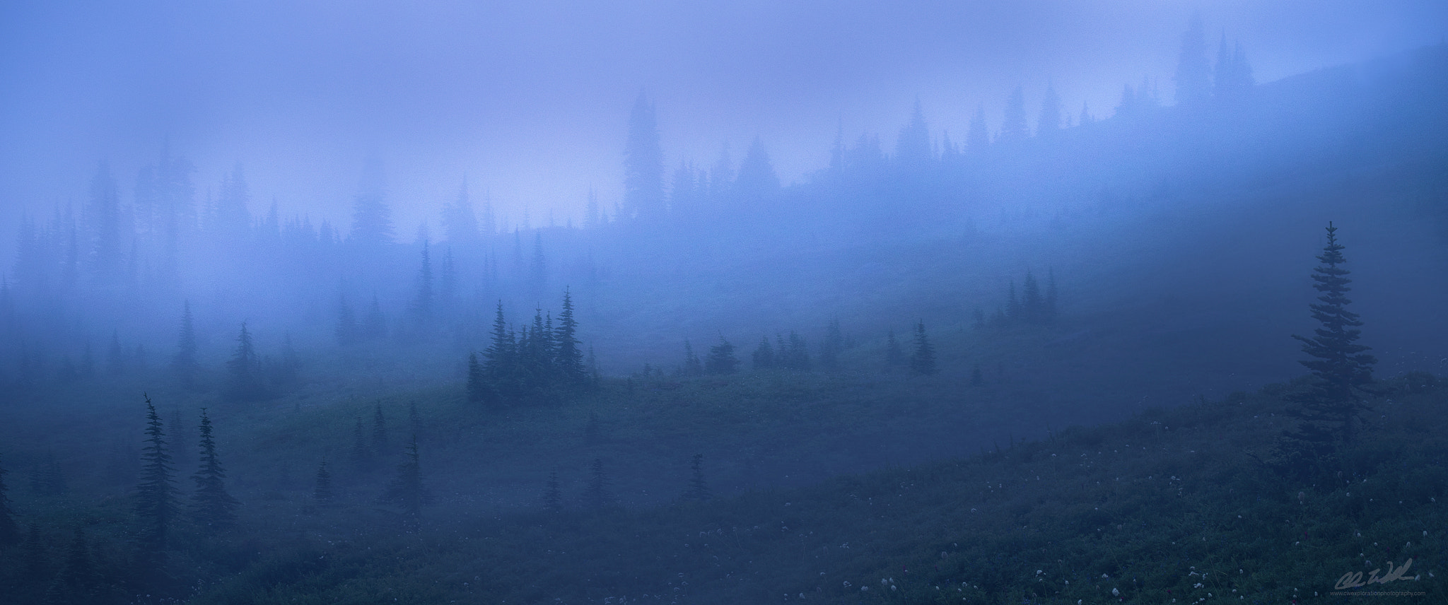 Canon EF 28-300mm F3.5-5.6L IS USM sample photo. Dark meadows photography