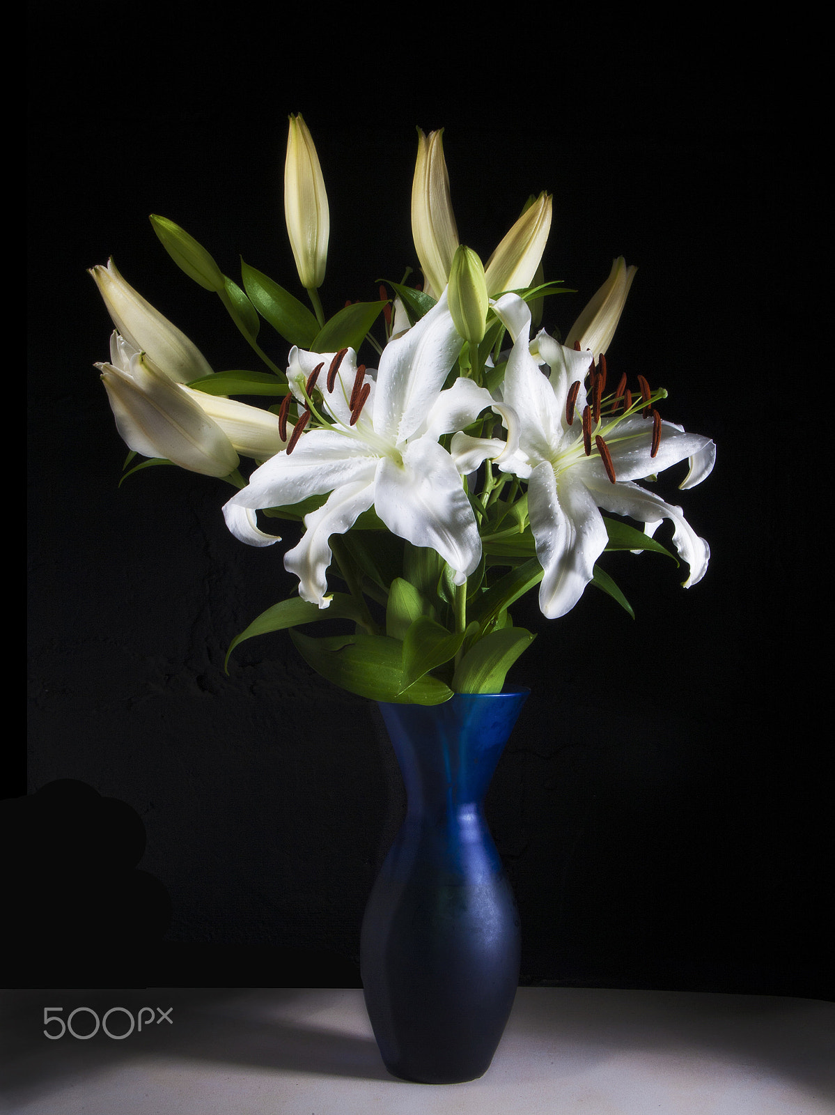Canon EOS-1D Mark III + Canon EF 28-135mm F3.5-5.6 IS USM sample photo. Oriental lily photography