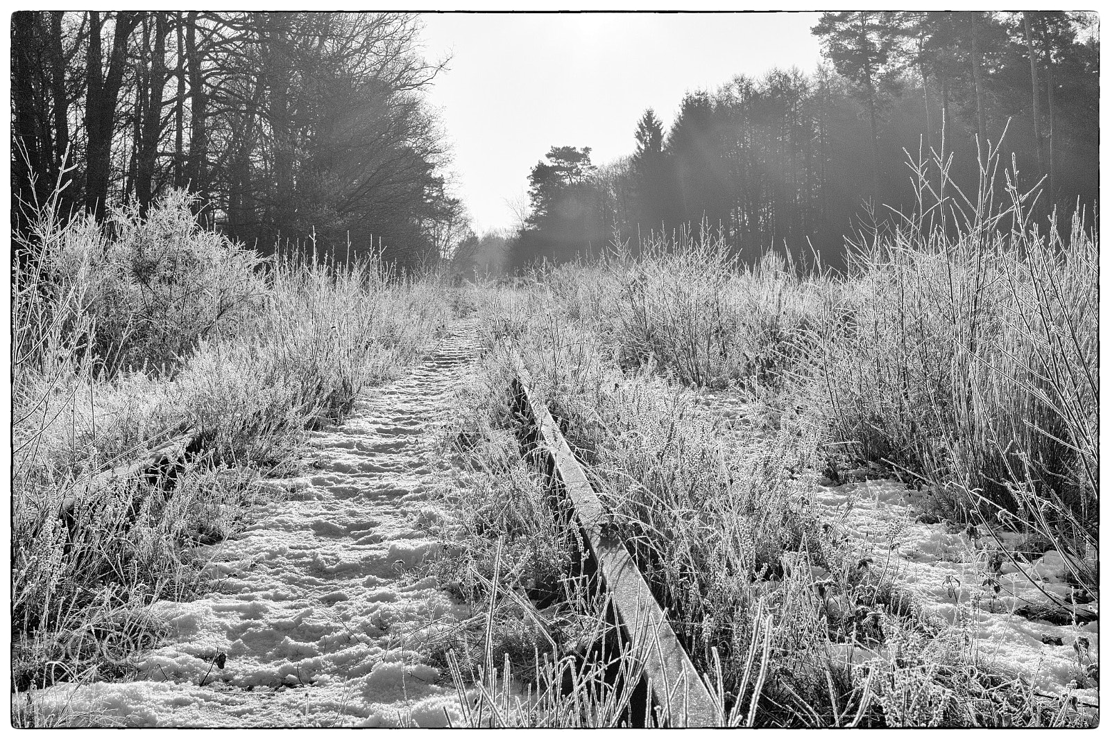 Canon EOS 60D sample photo. Forgotten trail photography