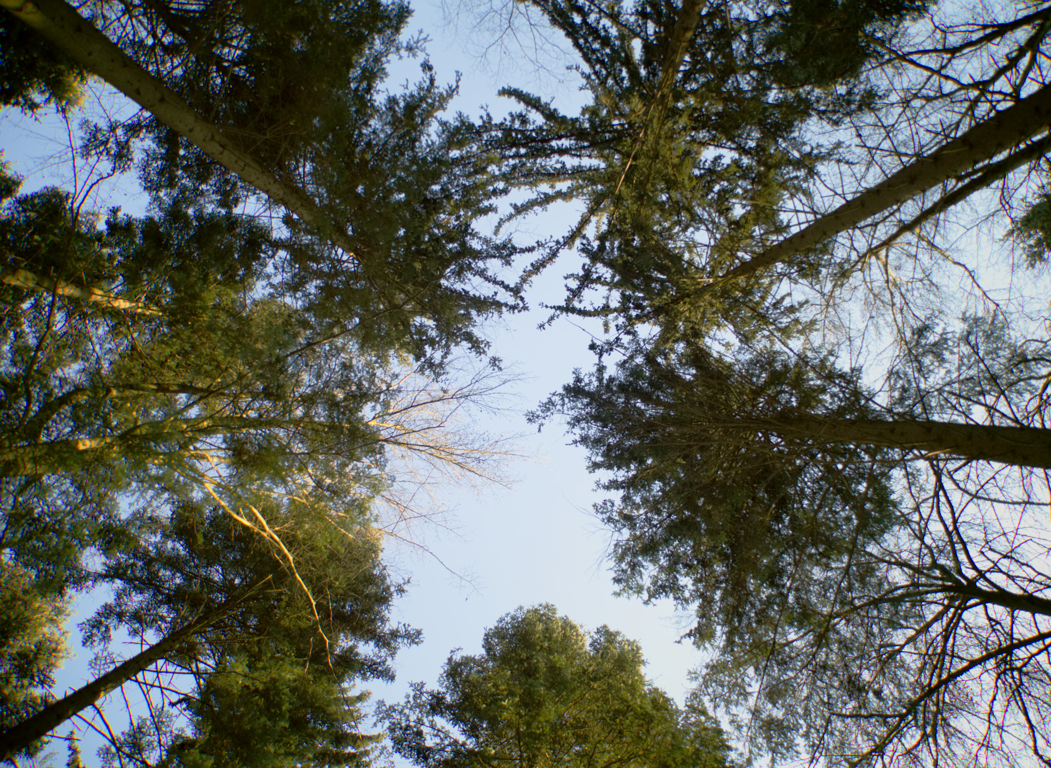 Sigma 18-200mm F3.5-6.3 DC OS HSM sample photo. Feeling small photography