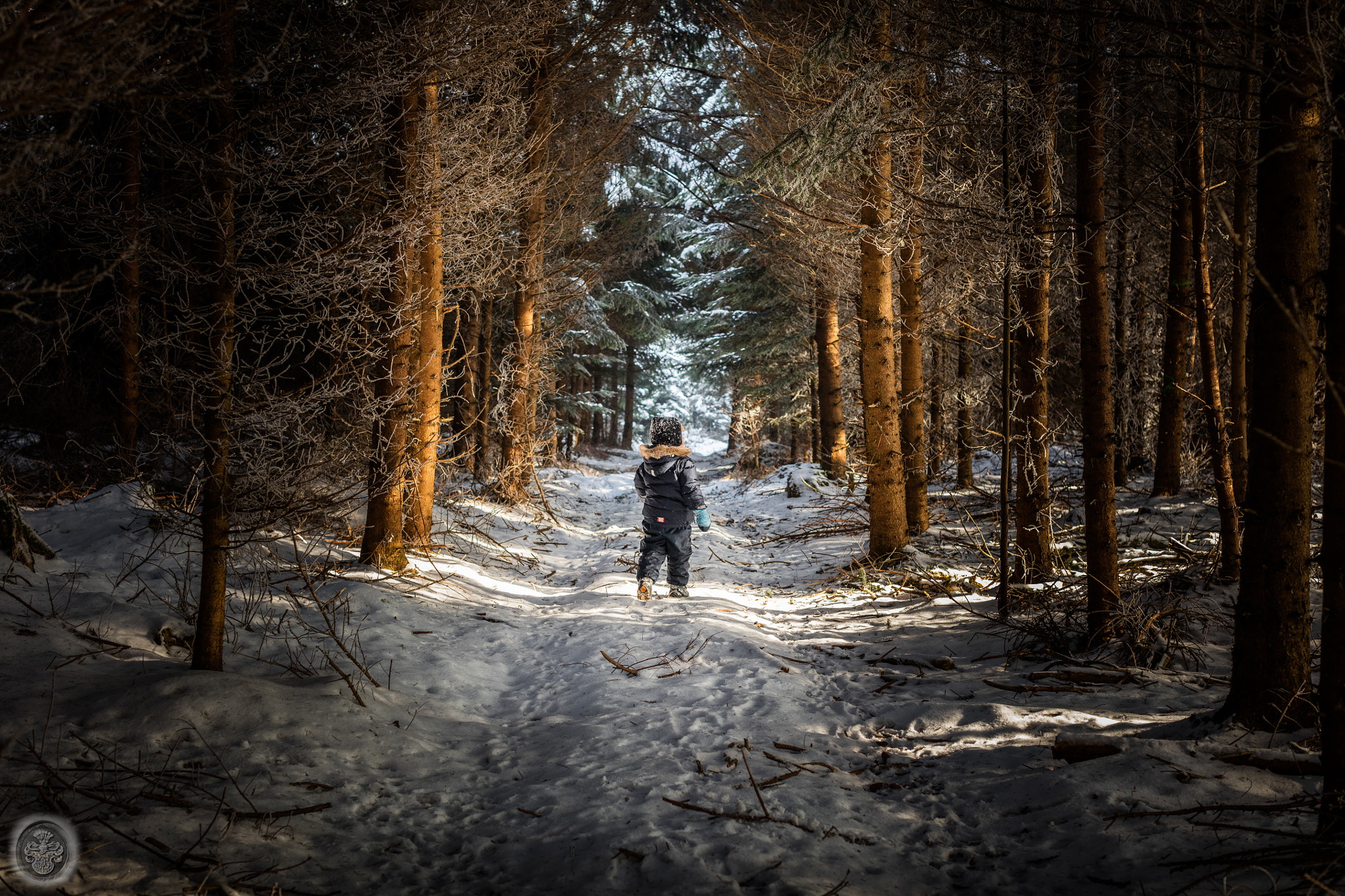 Canon EOS 5DS + Canon EF 50mm F1.2L USM sample photo. ...fearless little astronaut on his mission... photography