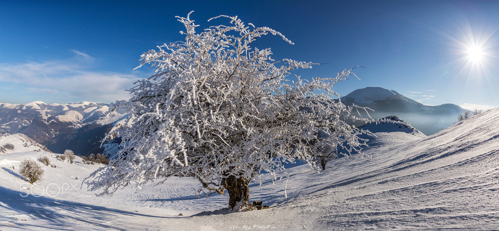 Sony SLT-A77 sample photo. Frozen and zen... photography