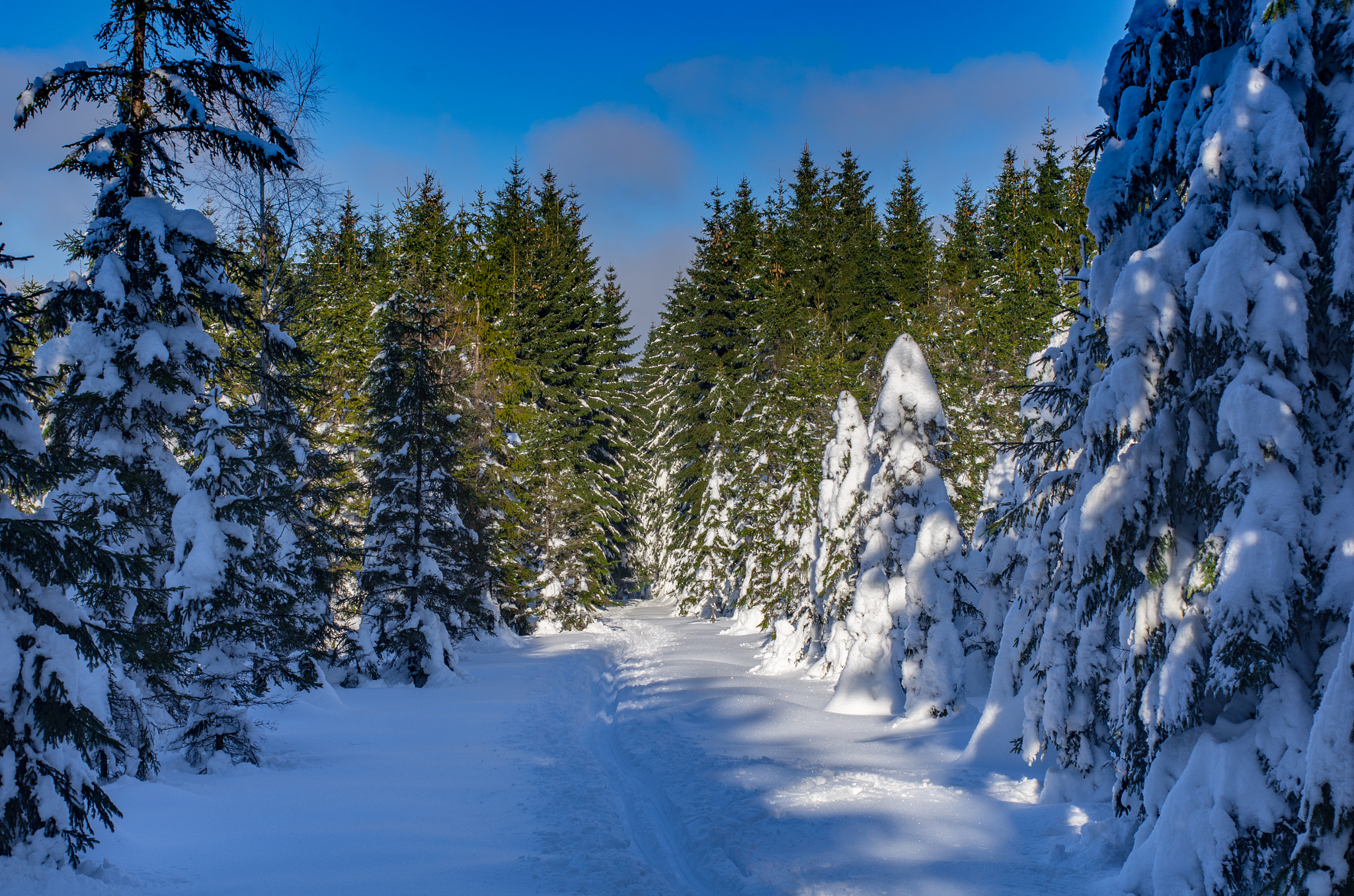 Pentax K-5 sample photo. Ski trail in jizera mountains photography