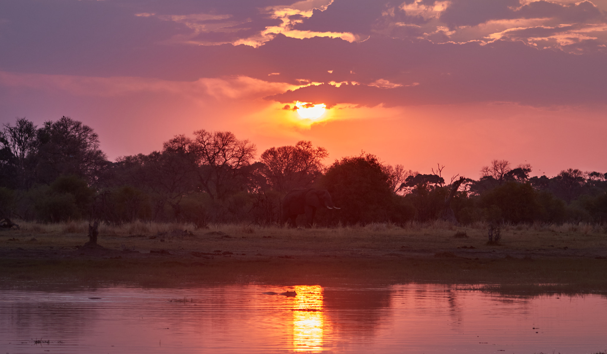 Canon EF 100-400mm F4.5-5.6L IS USM sample photo. Elephant in the sunset photography