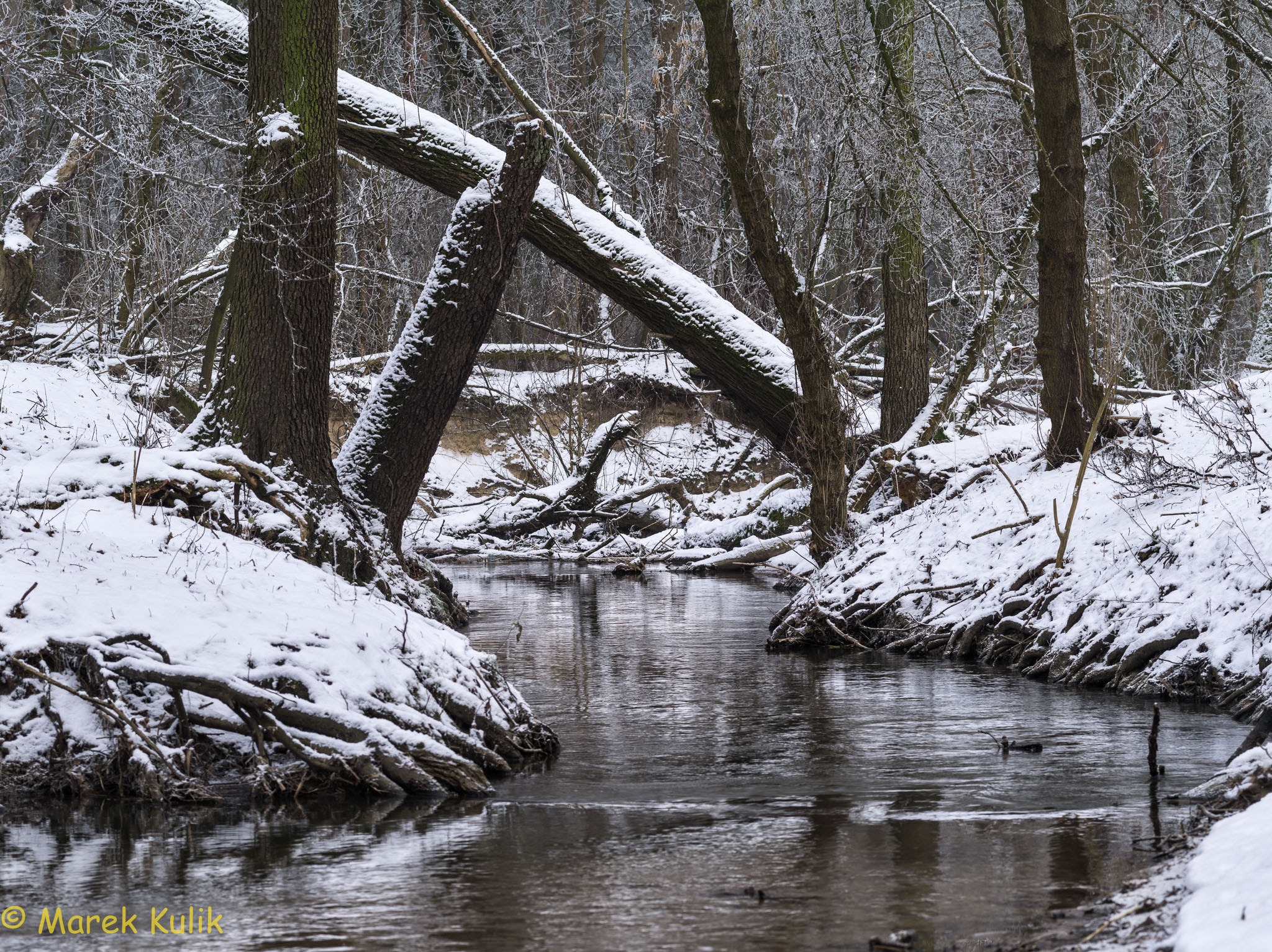 Pentax 645D sample photo. Wirenka photography