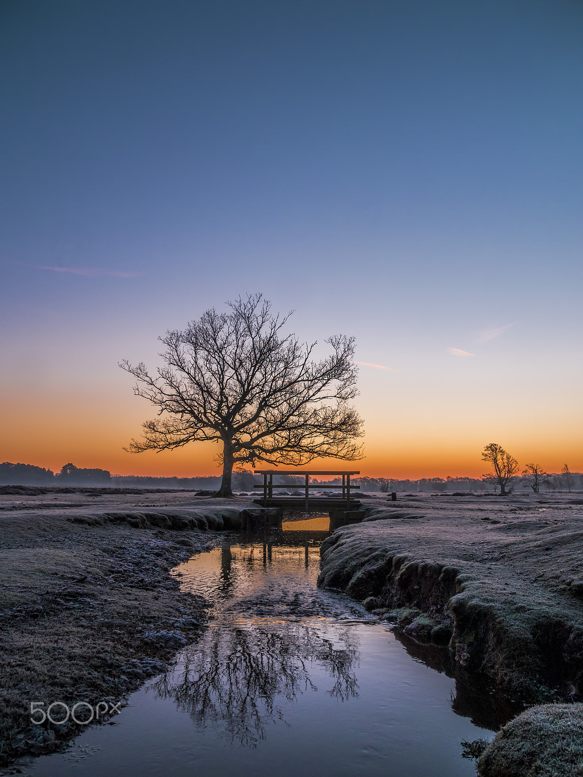 Panasonic Lumix DMC-G5 sample photo. Winter dawn at longwater lawn photography