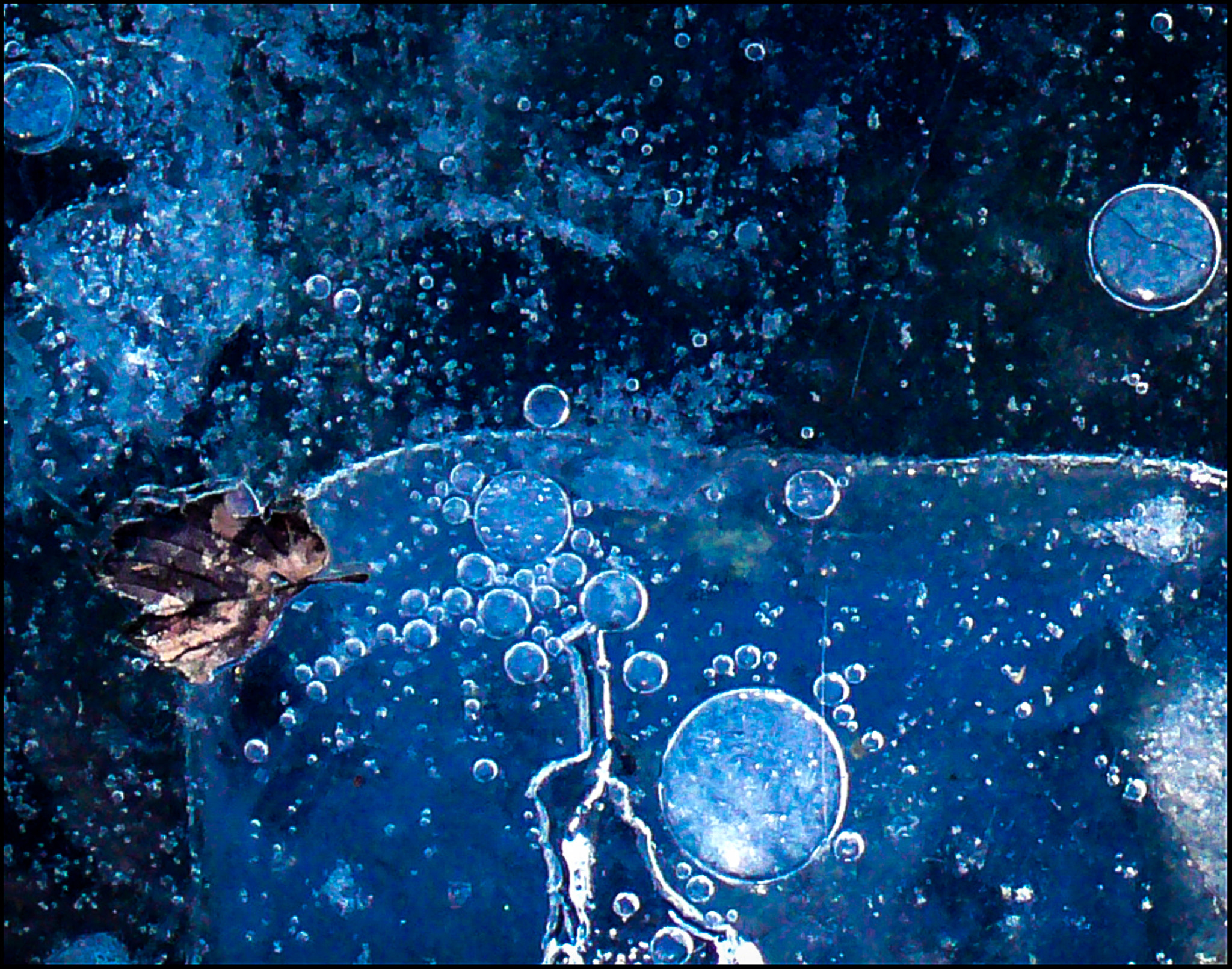 Panasonic DMC-FX07 sample photo. Ice bubbles and leaf photography