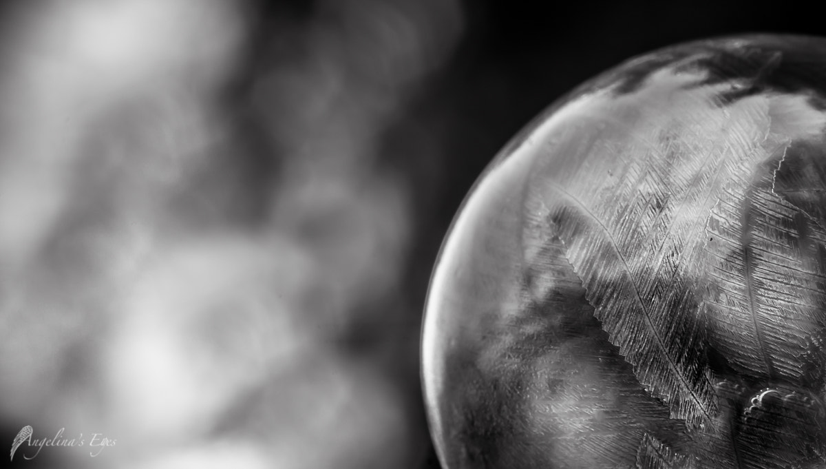 100mm F2.8 G SSM OSS sample photo. Take me to the moon photography