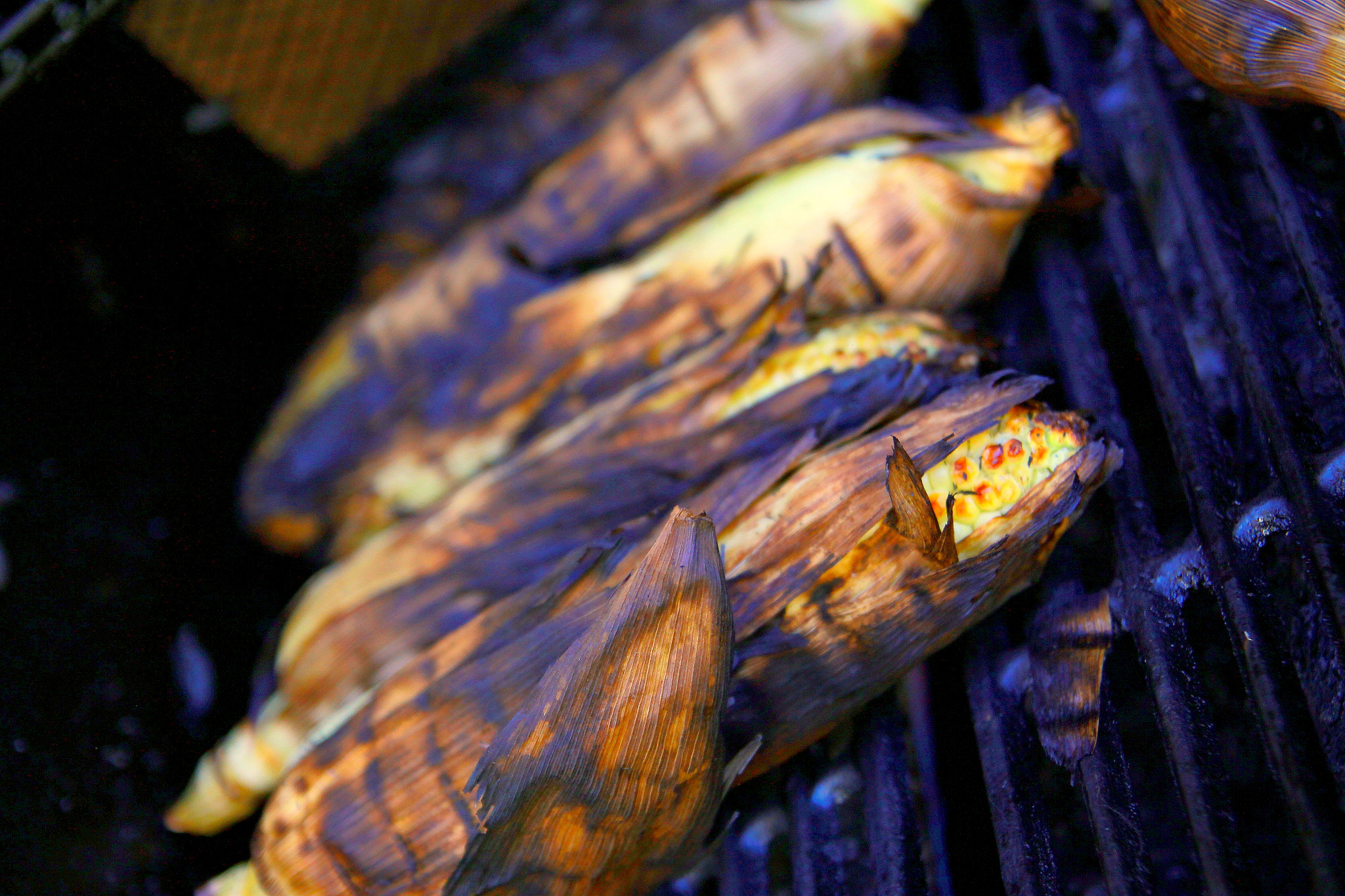 Canon 17-50mm sample photo. Grilled corn photography