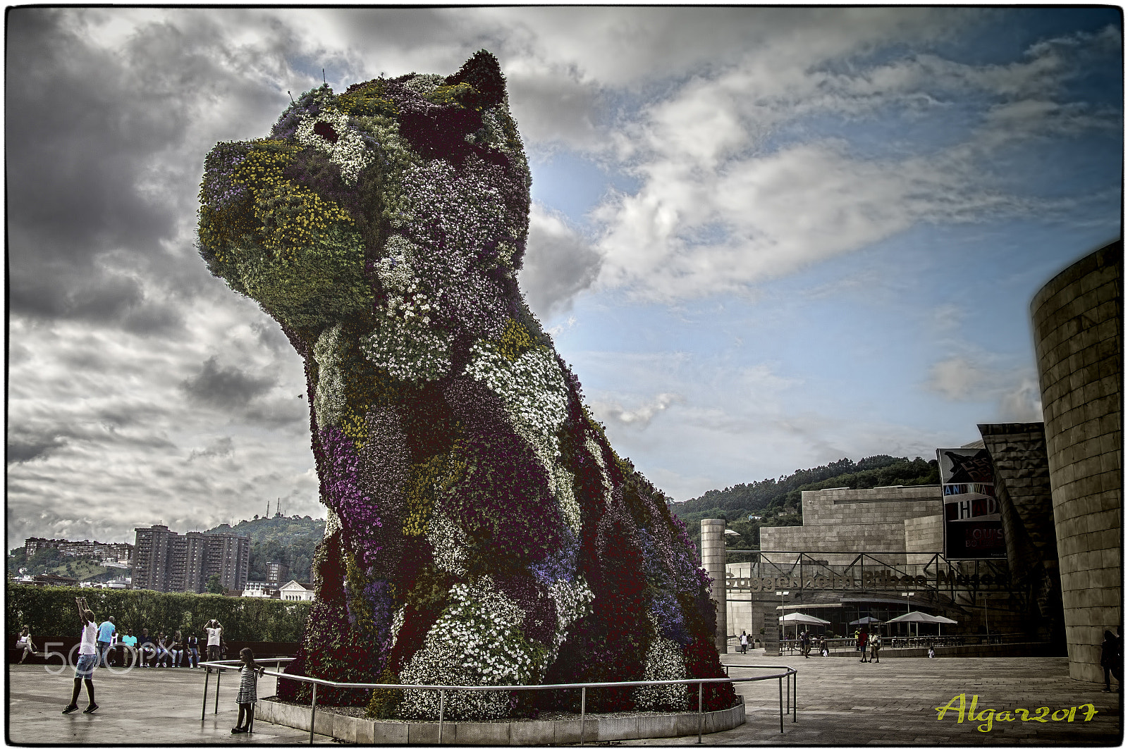 Canon EOS 60D sample photo. Puppy the dog photography