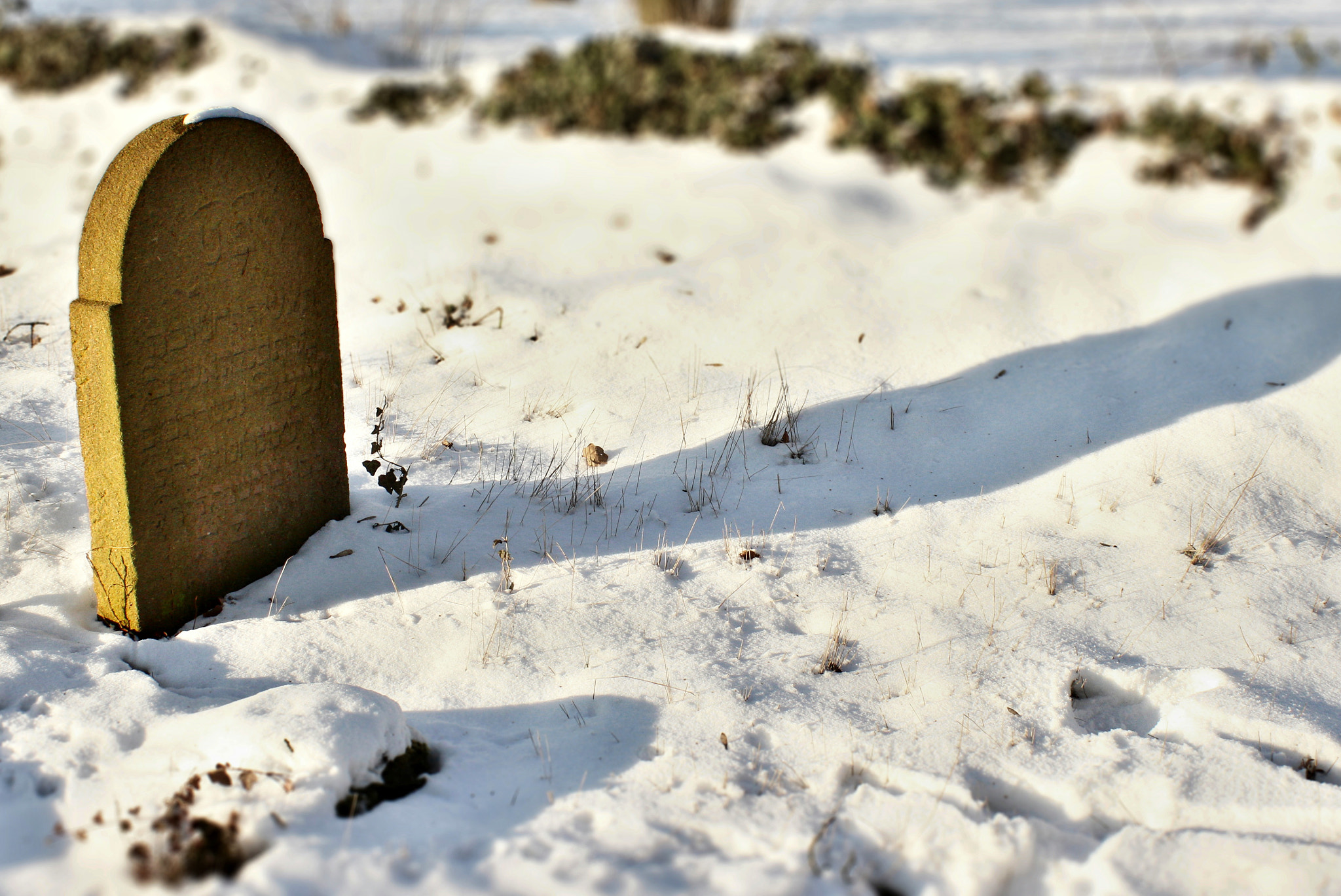 Canon EOS 600D (Rebel EOS T3i / EOS Kiss X5) sample photo. Cemetery photography