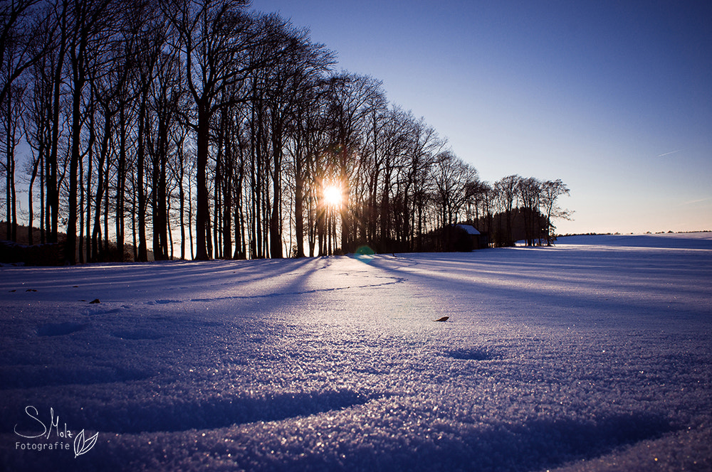 Sony Alpha NEX-C3 + Sony E 18-55mm F3.5-5.6 OSS sample photo. Snow white photography