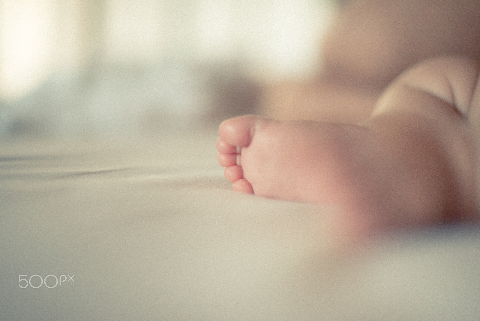 Nikon D800E + Nikon AF-S Nikkor 50mm F1.4G sample photo. Sleep well... photography